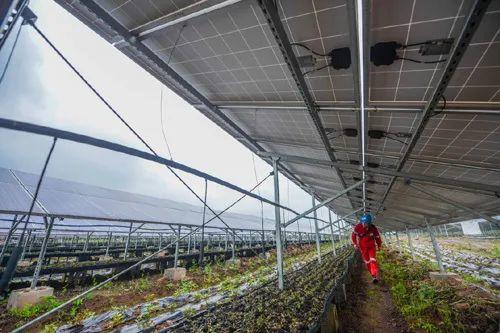 中國十三省最大光伏電站在這里！欽州康熙嶺的光伏電站能排上號(hào)了嗎？